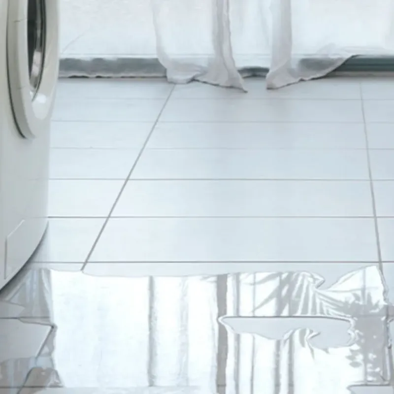 Appliance Leak Cleanup in New Haven, MI
