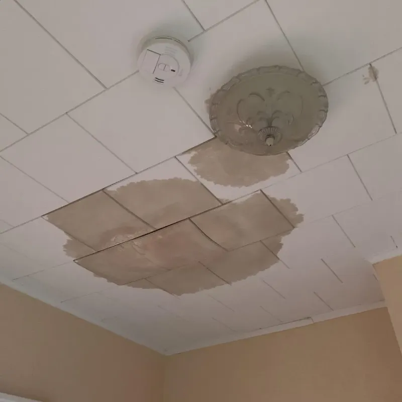 Ceiling Water Damage Repair in New Haven, MI