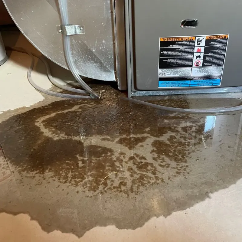 Pipe Burst and Leak Restoration in New Haven, MI