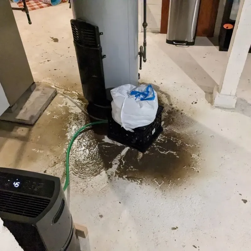 Sewage Backup Cleanup Service in New Haven, MI